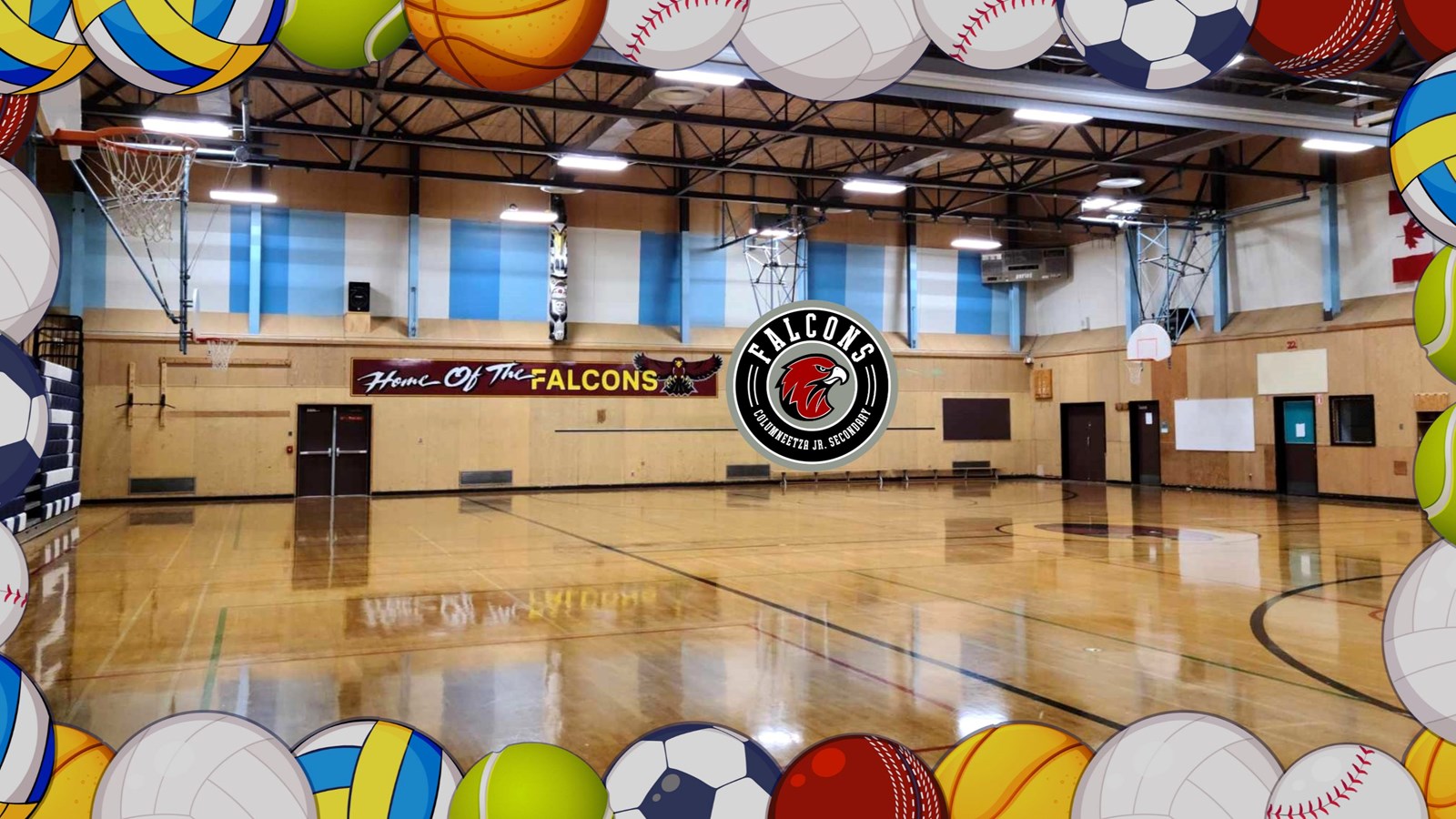 school gym inside, boarder with various gym balls