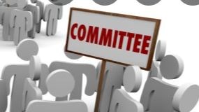 Committees of the Board