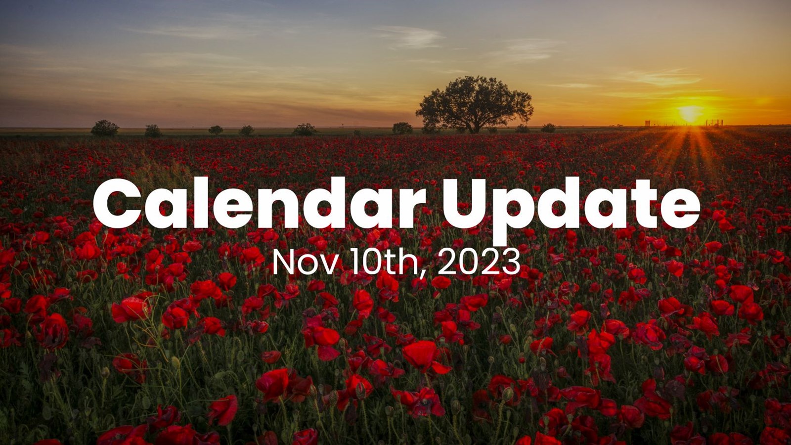 Image of a field of poppies at sunset that says "Calendar Update November 10, 2023"