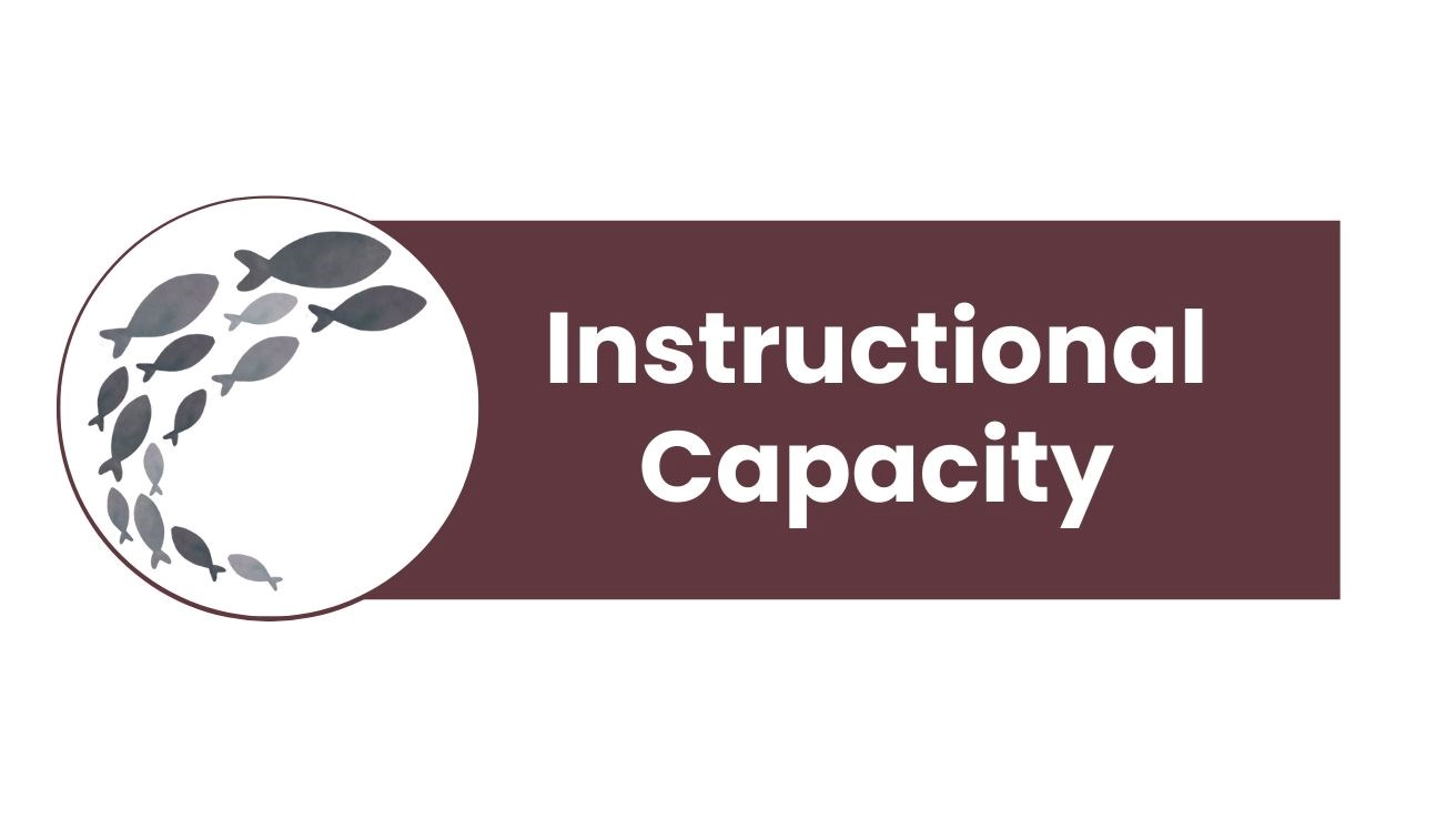 Instructional Capacity