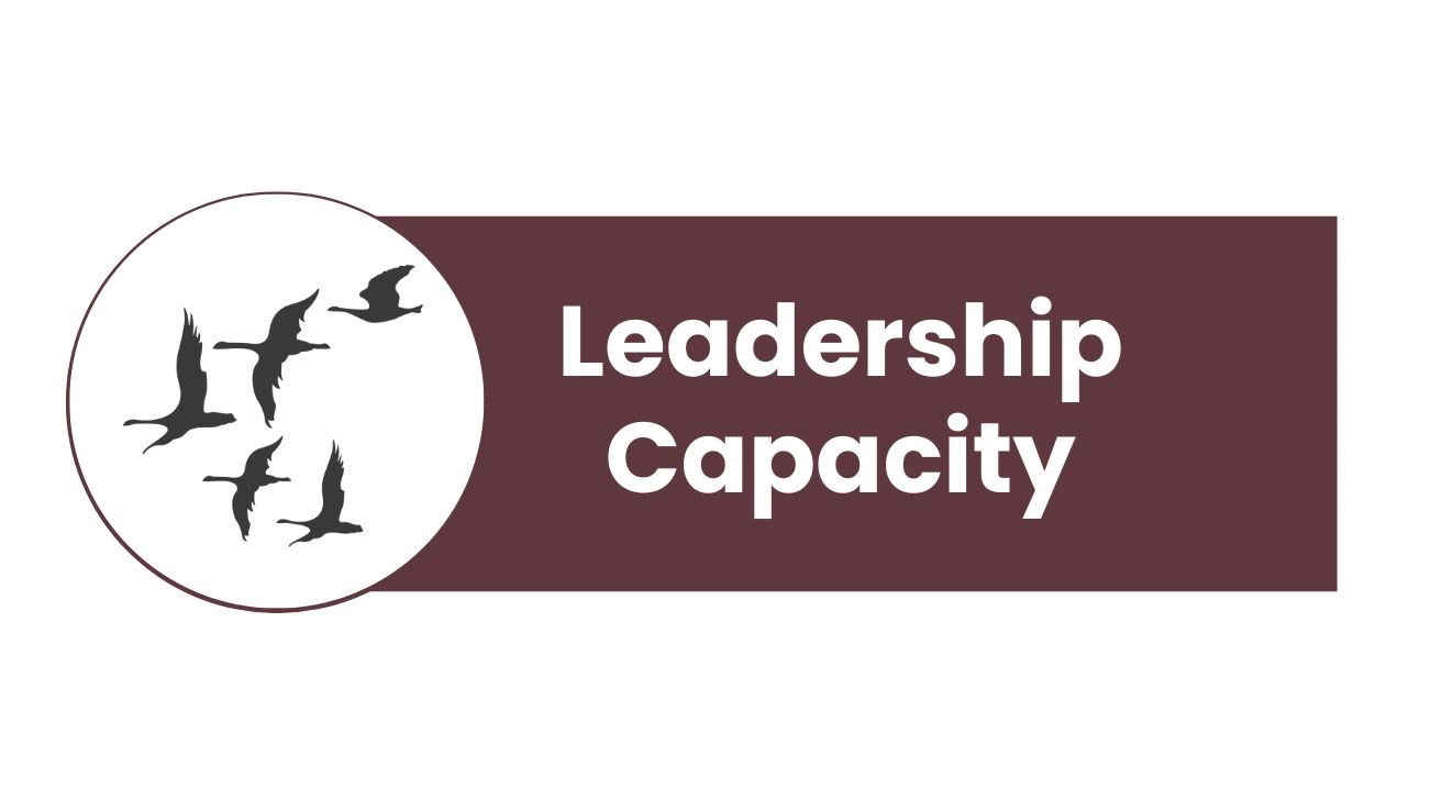 Leadership Capacity