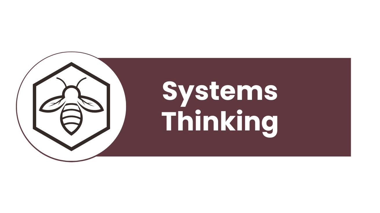 Systems Thinking